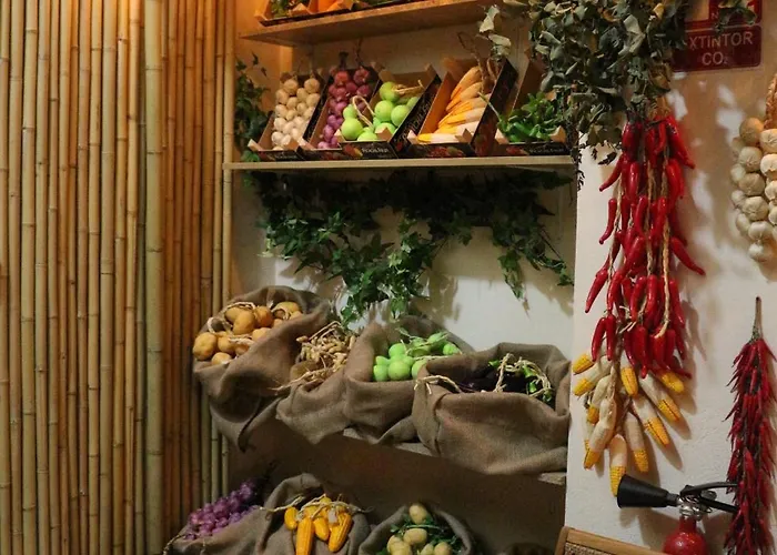 The Pod Village Hostel Valencia