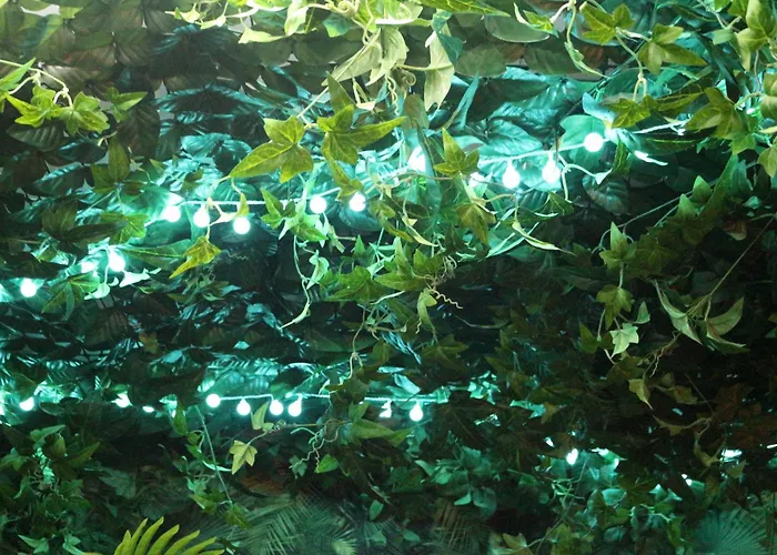 The Pod Village Hostel *