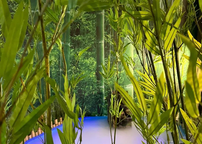 The Pod Village Hostel *