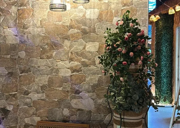 Hostel The Pod Village