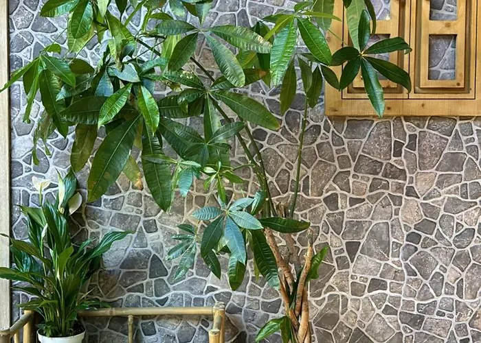 The Pod Village Hostel